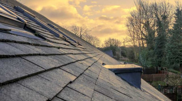 7 Roof Maintenance Tips for Springtime