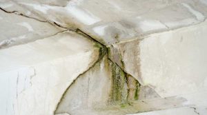 7 Ways to Check for Water Damage in Your Stucco Home